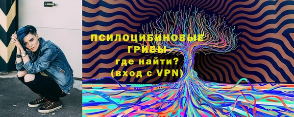 амф Алексеевка