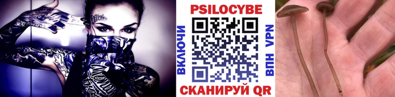 Галлюциногенные грибы прущие грибы Раменское